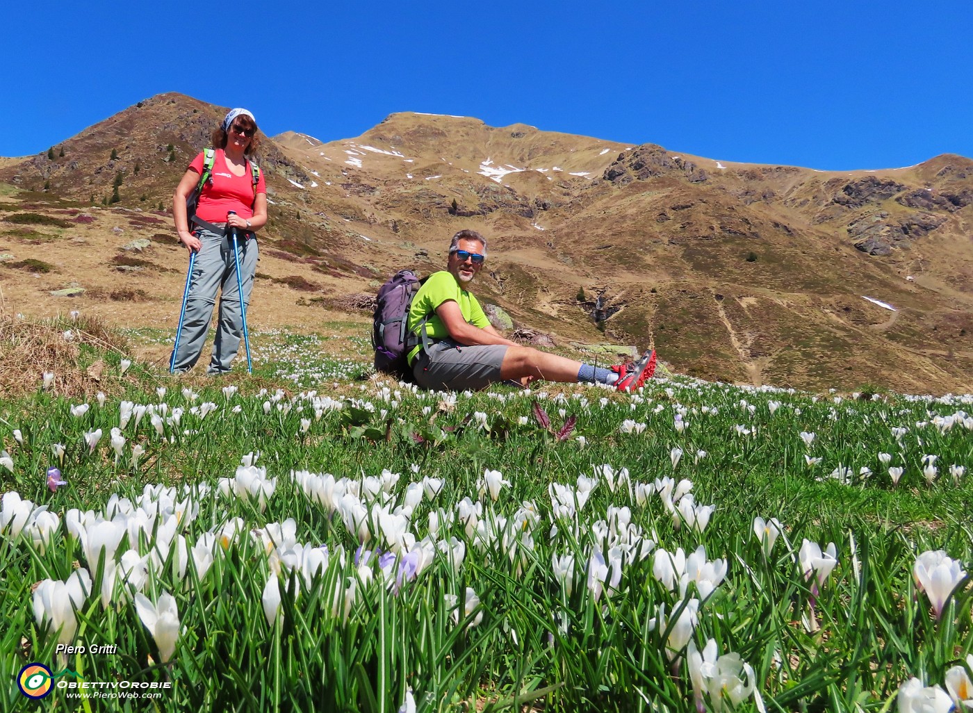 29 Triomen in alto, Dueomen tra i crocus in basso.JPG